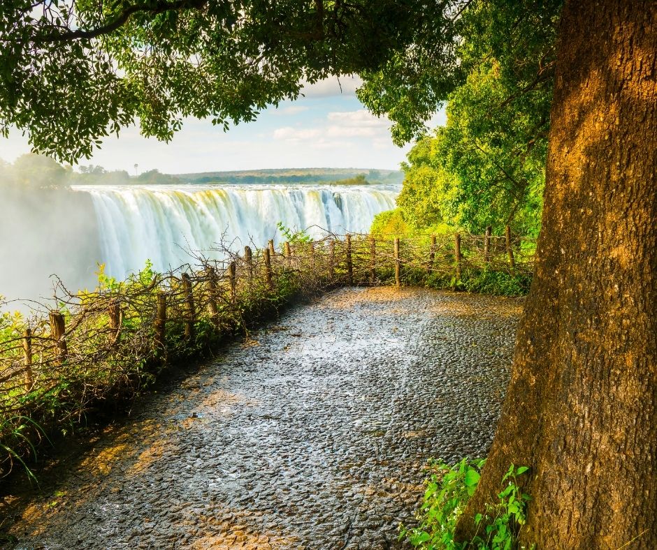 Victoria Falls Rain Forest