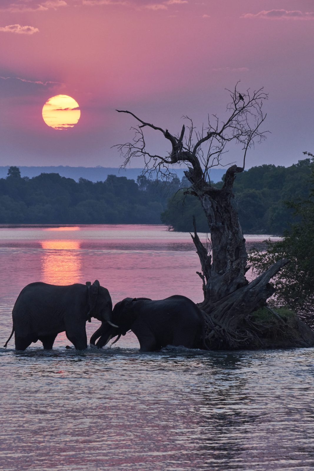Sundowner Cruise