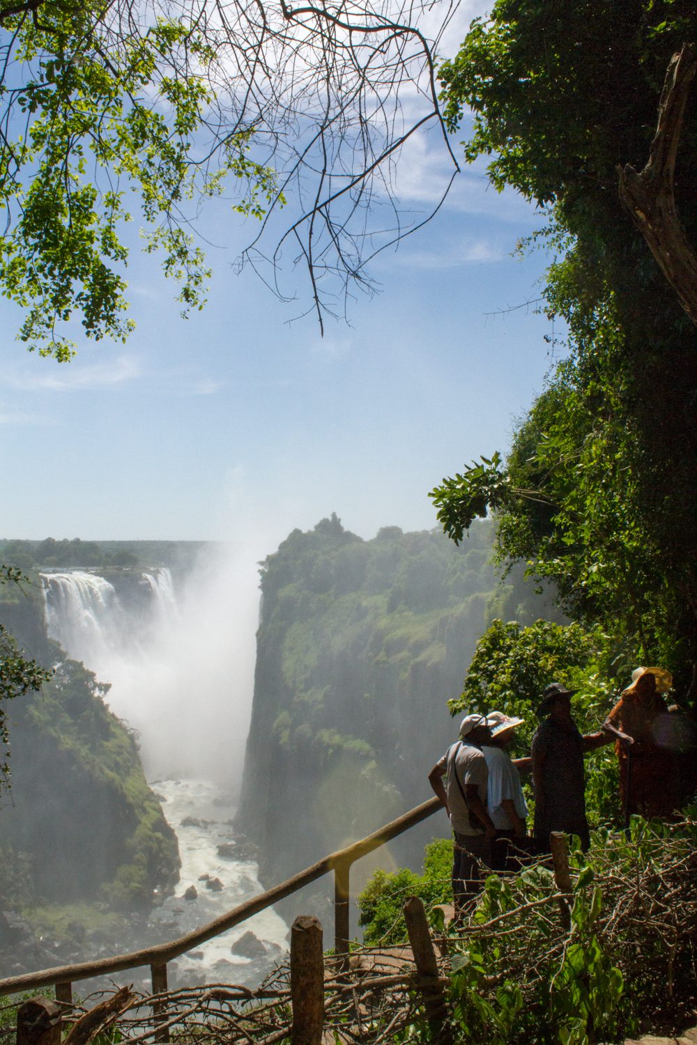 Victoria Falls Rain Forest